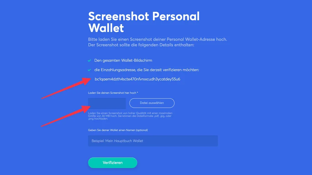 Anycoin Direct Screenshot des Wallet bei externem Wallet hochladen