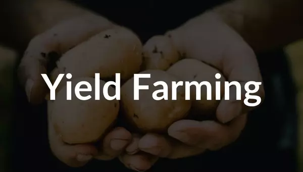 DeFi: Warum ich zurzeit kein Yield Farming betreibe