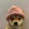 dogwifhat
