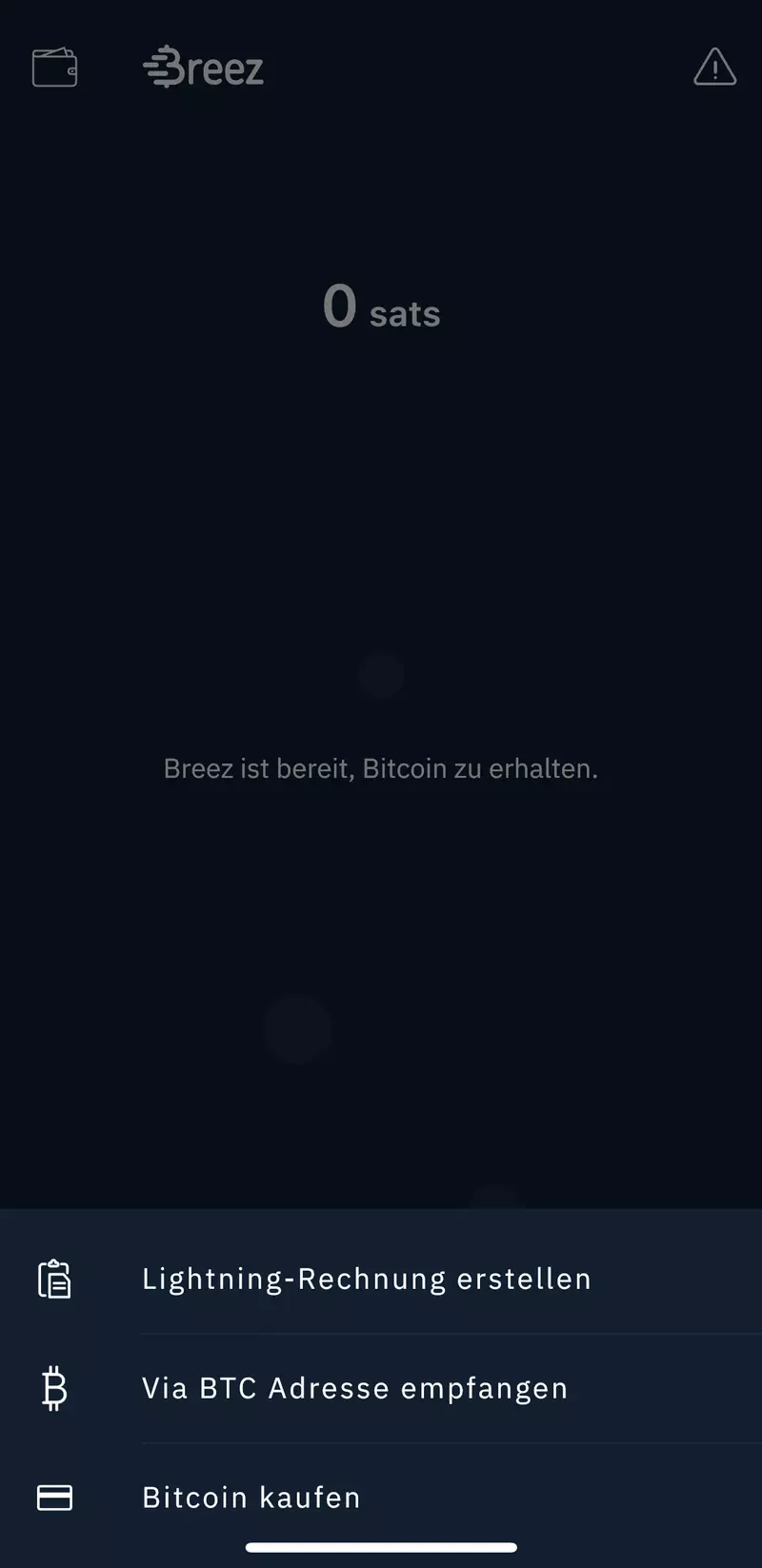 Breez Mobile Lightning erhalten Optionen